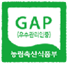 GAP 